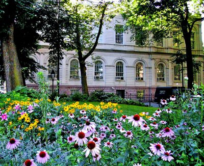 Tweed Courthouse with flowers