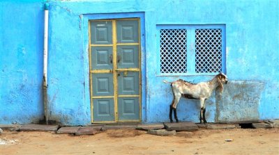 India Village.jpg