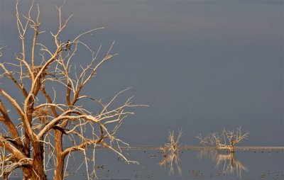 Saltan Sea.jpg