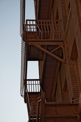 DSC_1010.jpg