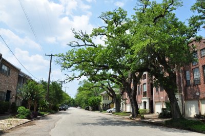 houston_2010