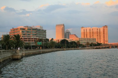 Tampa Skyline