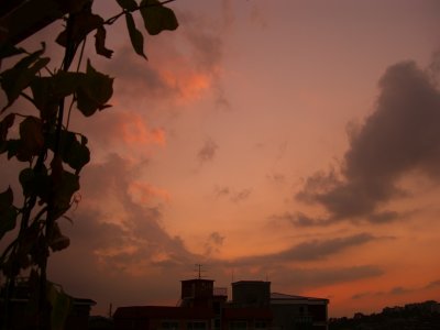 g1/09/378009/3/108680513.7NsSNSwu.jpg