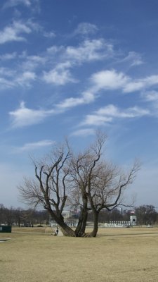 CIMG6339.resized.JPG