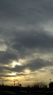 CIMG6533.resized.JPG