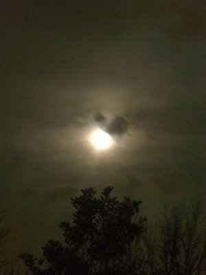 CIMG6701.resized.JPG