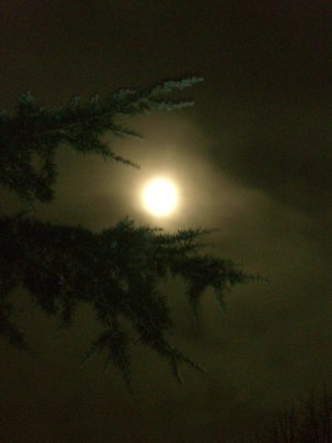 g1/09/378009/3/111363650.KuiSc6zy.jpg