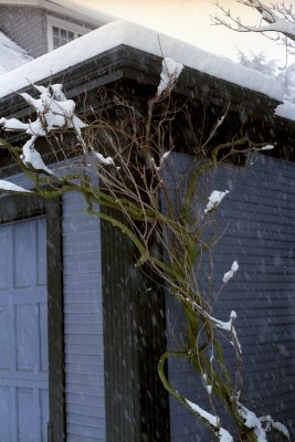 Somewhere in NW Portland [35mm]