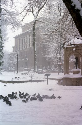 Portland in the snow