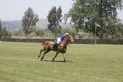 g1/09/396009/3/113202630.ClFjJ10h.jpg