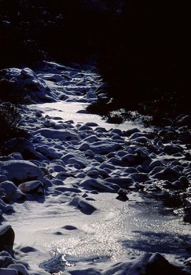 frozen creek.jpg