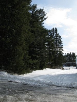 G9_0710.jpg