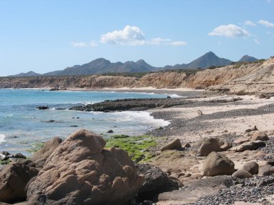 Cabo Pulmo Marine Reserve