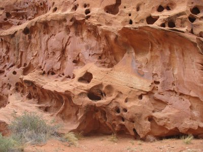 Red rock wall with holes - Grand Wash -Capitol Reef National Park, Utah