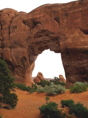 Pine Tree Arch - Arches National Park near Moab, Utah