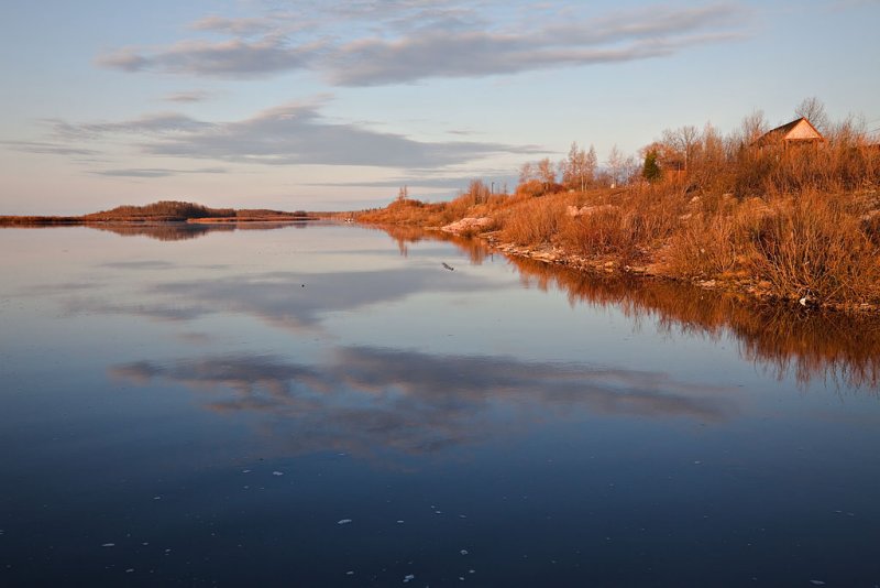 Shoreline upriver from public docks