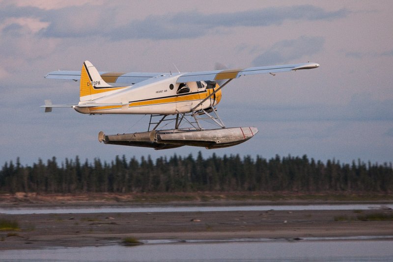 DHC-2 Beaver C-FDPM taking off