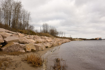 Rocks placed to protect shoreline from ice
