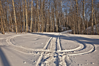 Snowmobile tracks on lawn