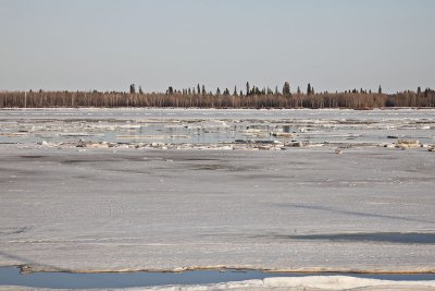 Ice flowing on the Moose River 2009 April 29th