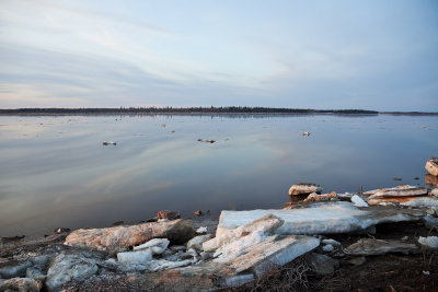 Looking up the Moose River 2009 May 6