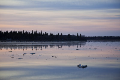 South end of Butler Island 2009 May 6