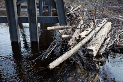 Debris against columns of Butler Creek rail bridge