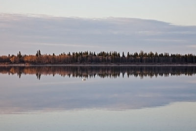 Charles Island 2009 May 27