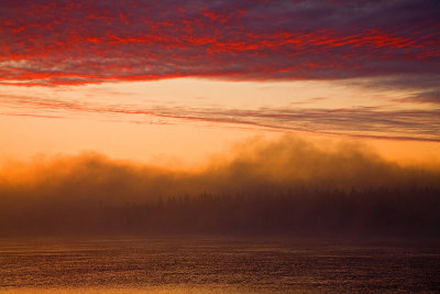 Fog at sunrise 2009 September 9th