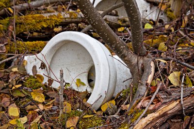Toilets in the bush