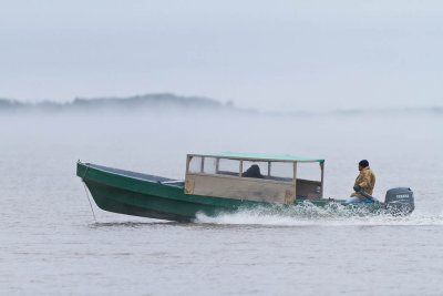 Canoe and fog