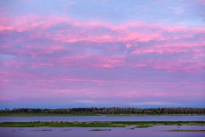 Looking across the Moose River 2010 June 30th