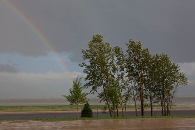 2010 July 8 after the rain