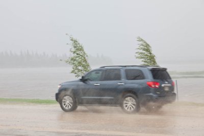 Vehicle and trees in heavy rain and wind