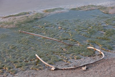 Metal rod on shoreline