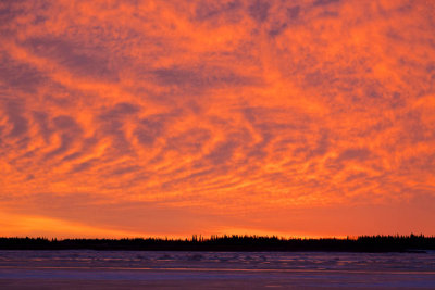 Sky before sunrise 2010 Nov 25