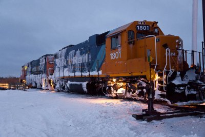 Head of Polar Bear Express 2010 Dec 6