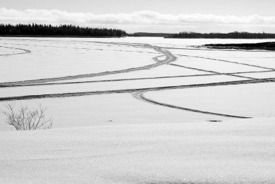 Snowmobile trails on the Moose River