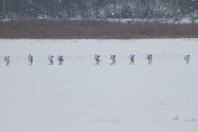 2011 January 24th Royal Regiment of Canada on patrol on the Moose River in winter exercises