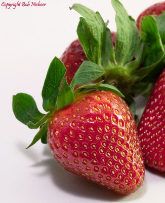 Strawberries - February 7, 2009
