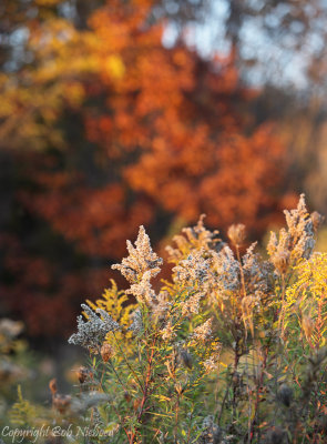 DPP_0016-Edit.jpg