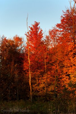 IMG_3213-Edit.jpg
