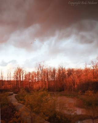 Magical evening