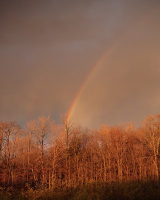 double rainbow