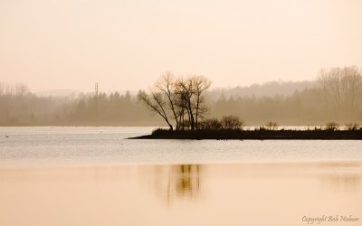 Laurel Creek - February 10