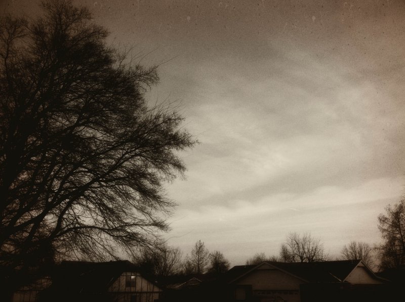 January 12 2011