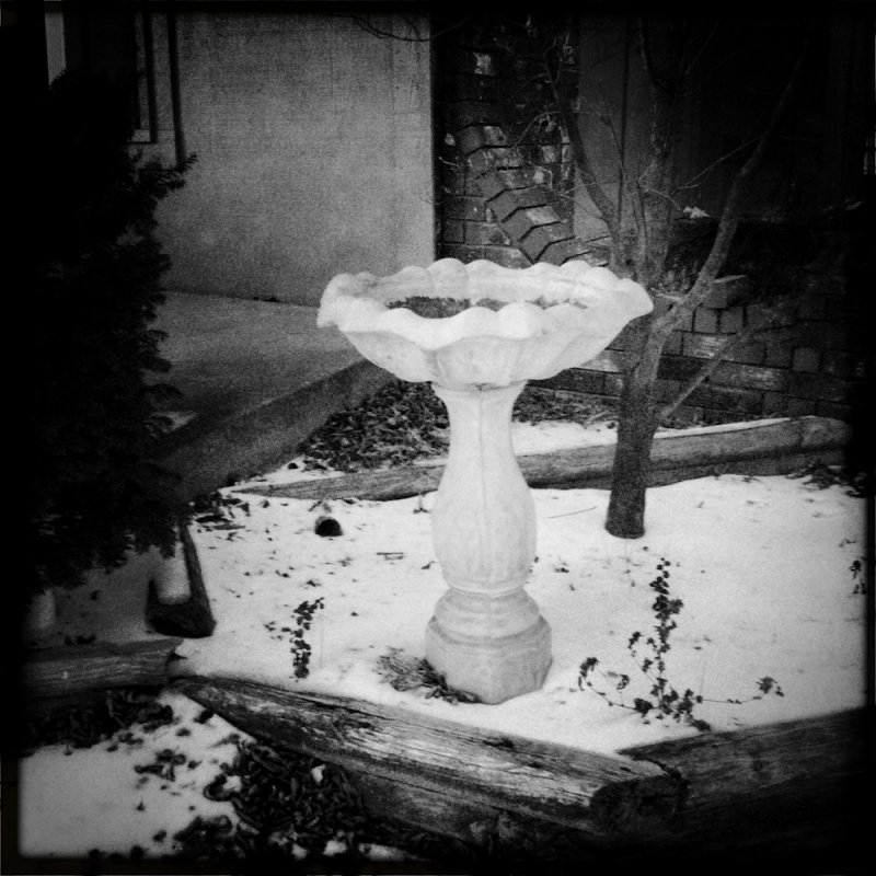 January 21 2011