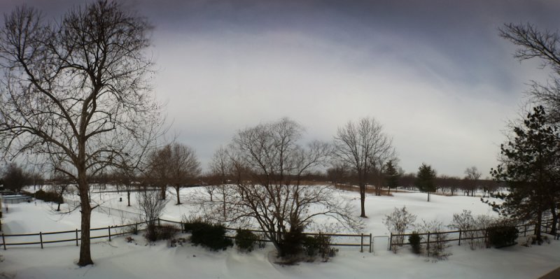 February 6 2011