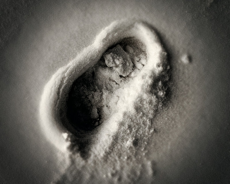 February 9 2011