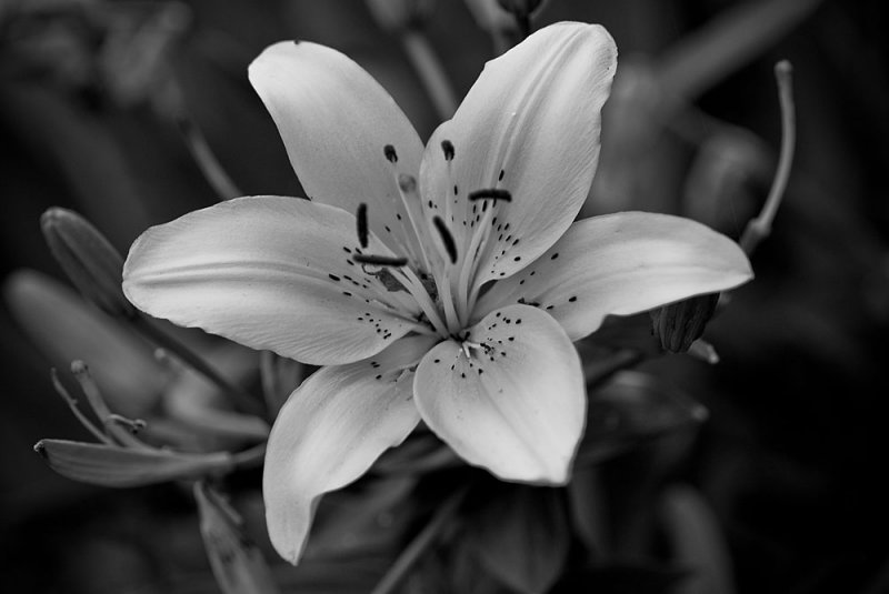 May 30 2008